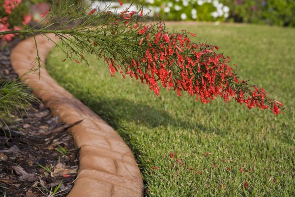 Brick Edging in Statesville